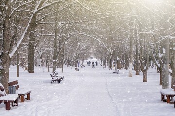 Морозы утихнут и придут снегопады: прогноз синоптиков до конца недели 