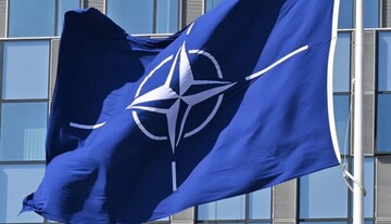 НАТО обратилось к Украине с просьбой помочь в поиске дешевых средств уничтожения дронов — BI