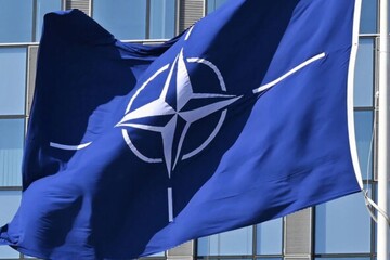 Украинские эксперты впервые присоединились к отработке Статьи 5 НАТО — Генштаб