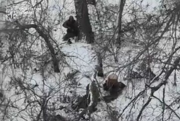 Донецкая прокуратура расследует расстрел пленных ВСУ в Покровском районе