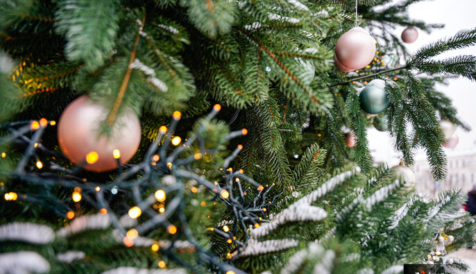 Рік завершиться красивою зимовою погодою: прогноз на 31 грудня і перші дні 2026-го