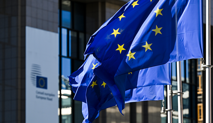 ЕС планирует принять 20-й пакет санкций против РФ на четвертую годовщину вторжения в Украину – Welt