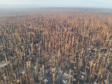 Ворог намагається накопичити ресурси в Серебрянському лісі
