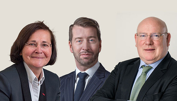 Европейские адвокатуры поддержали план НААУ по выполнению Дорожной карты