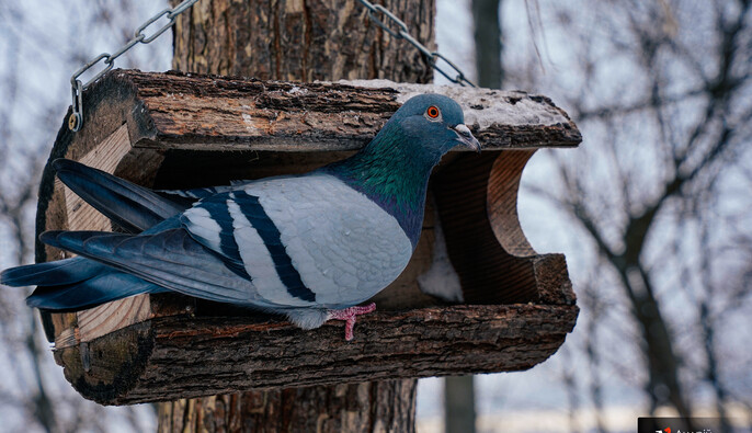 Сніг, мокрий сніг і дощі: де на вихідних буде найгірша погода 
