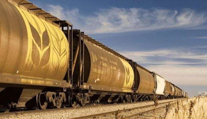 Укрзализныця в 2025 году перевезла на 27% меньше зерновых: в чем причина
