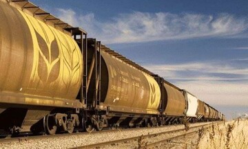 Укрзалізниця у 2025 році перевезла на 27% менше зернових: у чому причина 