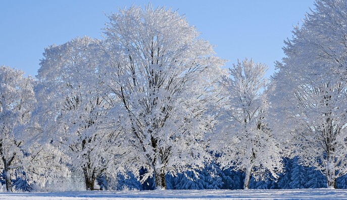 Синоптик назвал даты, когда в Украине наконец-то ослабеют морозы