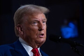 Трамп заявил, что ничего не знает о визите Виткоффа и Кушнера в Москву