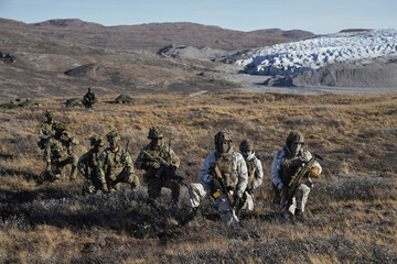 Пять стран НАТО направляют военных в Гренландию на фоне претензий США