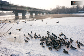 Мороз и солнце: синоптик рассказал, какими будут выходные в Украине