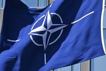 Восемь стран НАТО выступили с совместным заявлением в ответ на анонсированное Трампом введение пошлин