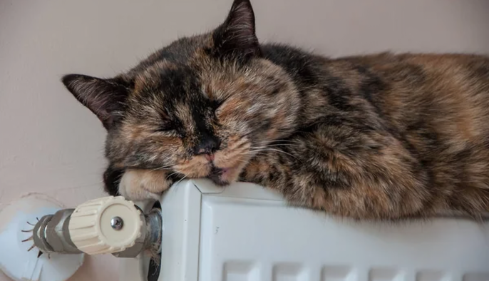 У Києві без тепла залишаються майже 3 тисячі багатоповерхівок – Кличко