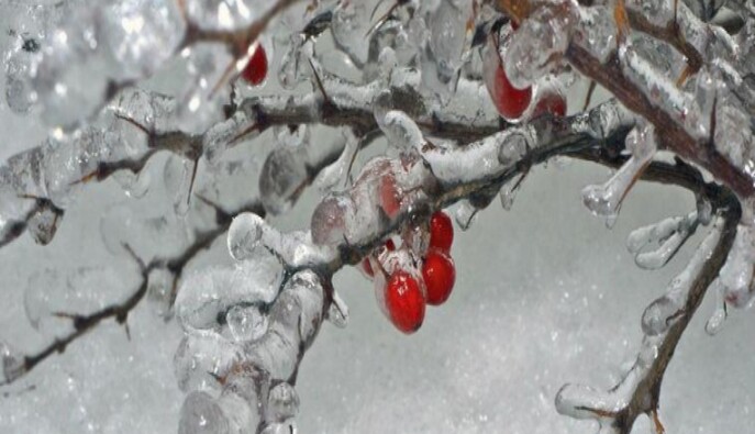 Україну накриють снігопади і крижані дощі: де буде найгірша погода 