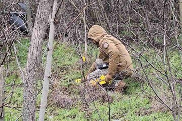 У Молдові виявили російський безпілотник: ЗМІ пишуть, що він споряджений вибухівкою