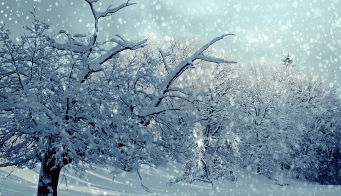 Накриють тумани і снігопади: синоптик розповів, як зміниться погода на вихідних 