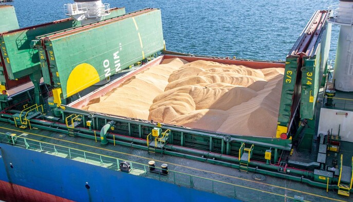 Украинским морским коридором перевезли 100 млн тонн зерна