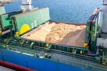 Українським морським коридором перевезли 100 млн тонн зерна