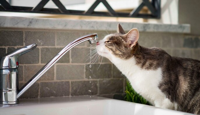 На лівому березі Києва відновили водопостачання 