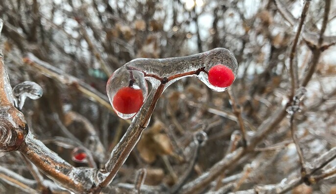 Україну накрили крижані дощі: коли припиниться негода 