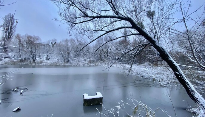 Київрада досі не встановила межі заказника 
