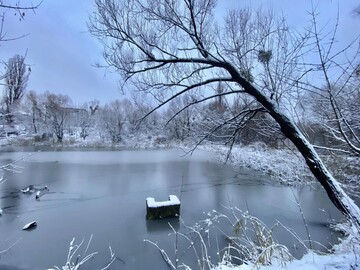 Киевсовет до сих пор не установил границы заказника "Совская Балка": прокуратура подала в суд
