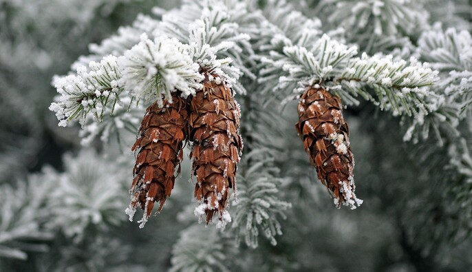  Температура впаде майже до -30: в Україну повертаються люті морози