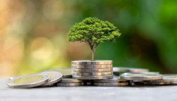 Цветы, ремонты, канализация: на что тратятся в Украине средства эконалога