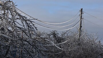 Через негоду на Одещині у більшості районів зафіксовано пошкодження електромереж - ДТЕК