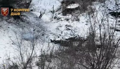 Силы обороны отразили штурм РФ в районе Гришиного Донецкой области