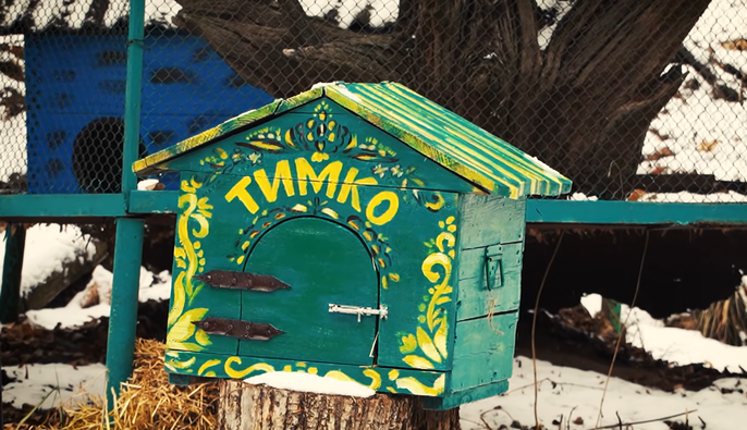 Бабак Тимко спрогнозировал, когда наступит весна в 2026 году