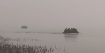 У дельті Дніпра окупанти зазнають втрат через власне мінування – "АТЕШ"