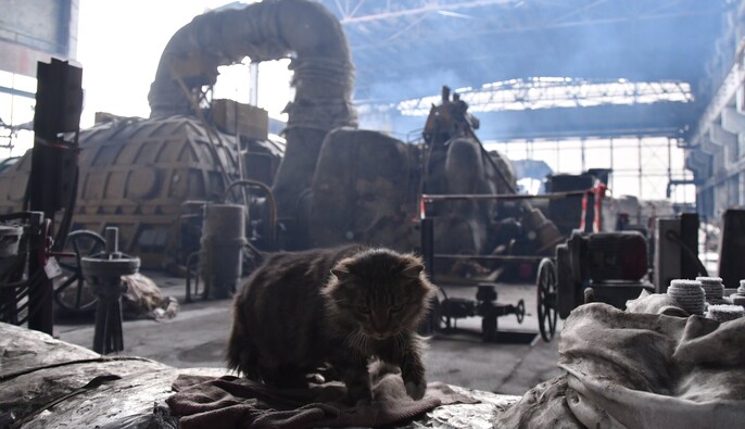 Іспанія передасть Україні шість генераторів потужністю 6,3 МВт — МЗС