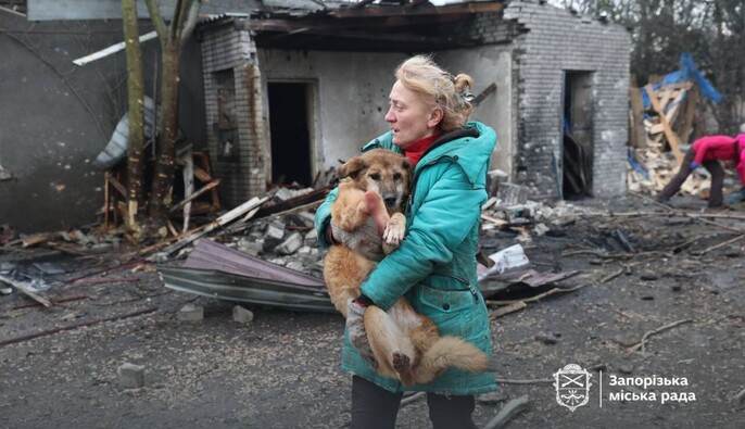Росіяни пошкодили собачий притулок у Запоріжжі, постраждали тварини