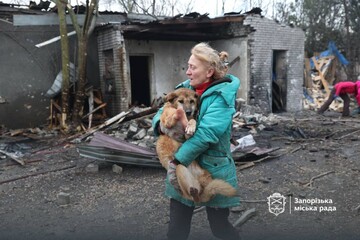 Россияне повредили собачий приют в Запорожье, пострадали животные