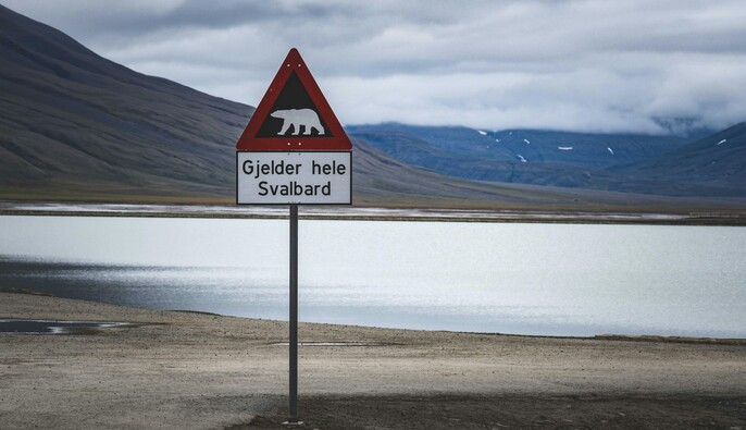 В Норвегии зафиксировали усиление российского шпионажа в Арктике - Reuters