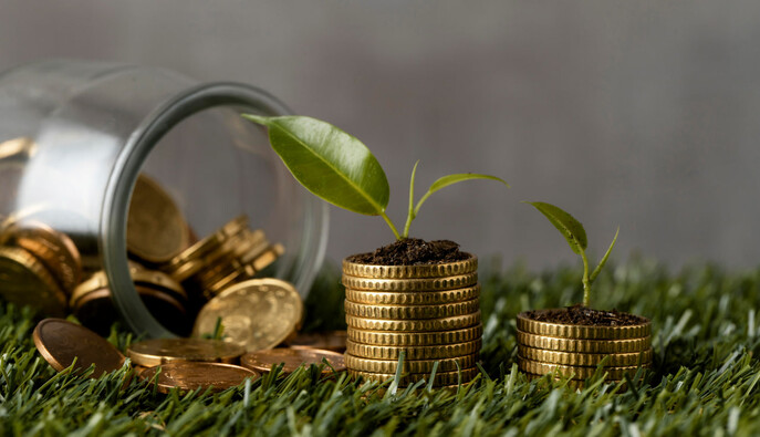 Екоподаток в Україні не працює за призначенням: для вступу до ЄС потрібна реформа