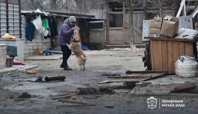 Удар по притулку тварин у Запоріжжі: загинуло 13 собак, ще сім отримують допомогу