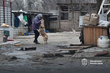 Удар по приюту животных в Запорожье: погибли 13 собак, еще семь получают помощь