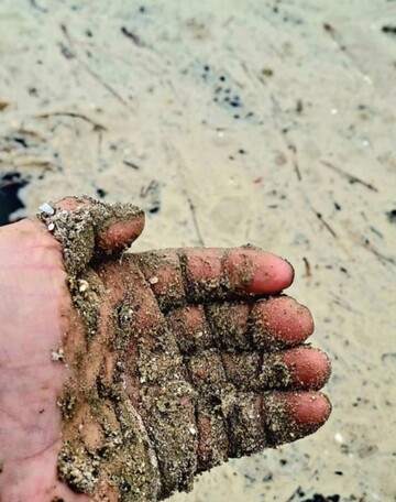 Российский удар по порту повлек за собой масштабное загрязнение Черного моря: масло распространяется акваторией.