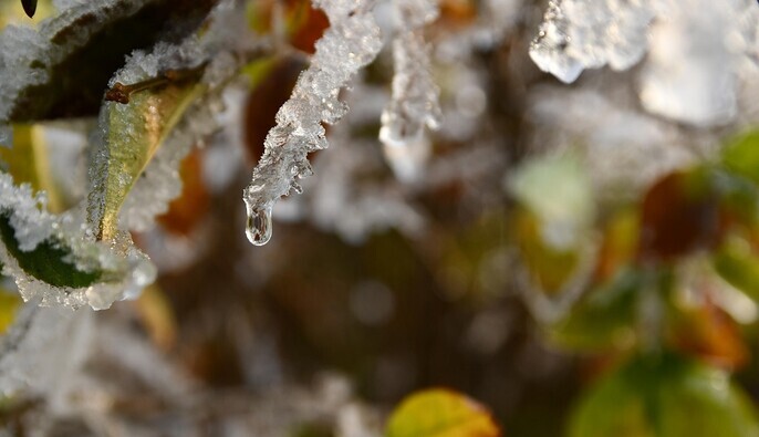 Встречаем долгожданное потепление: прогноз синоптиков на пятницу