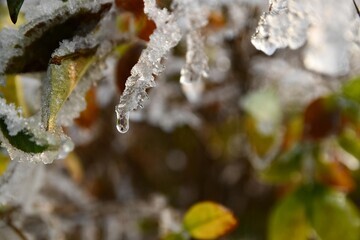 Встречаем долгожданное потепление: прогноз синоптиков на пятницу