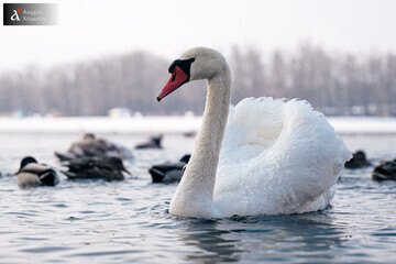Мокрый снег, дожди и туманы: синоптик прогнозирует потепление на выходных