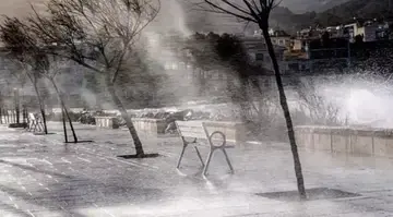 Ураган Нильс во Франции обесточил сотни тысяч домов: есть погибшие и раненые