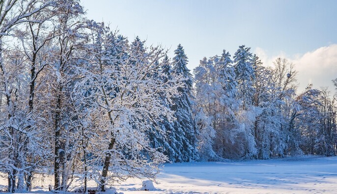 В частині країни - зима з -15, а подекуди весняні +15: прогноз синоптиків на новий тиждень 