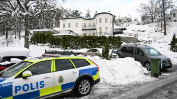 Швеция задержала гражданина РФ по запросу США – подозревают в нарушении санкций