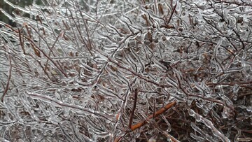 Синоптики прогнозируют резкое ухудшение погоды – надвигаются снегопады и ледяные дожди 