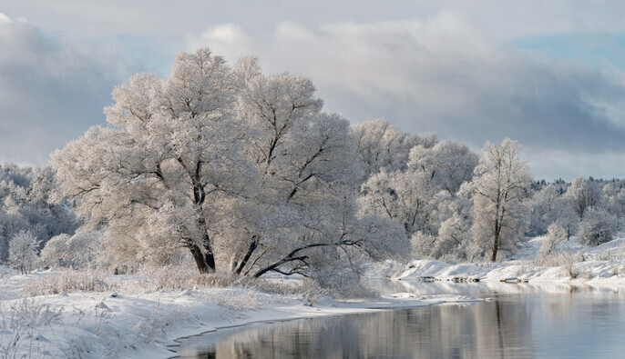 Морозы или потепление: синоптик рассказал, какую погоду ждать в выходные