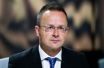 Угорщина, ймовірно, не зупинятиме постачання електроенергії до України, щоб не нашкодити угорцям на Закарпатті — Сіярто