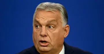 Орбан снова обвиняет Украину и ЕС в вмешательстве в венгерские выборы